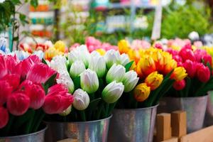 Как получить временное разрешение для торговли цветочной продукцией в преддверии празднования Международного женского дня 8 Марта?