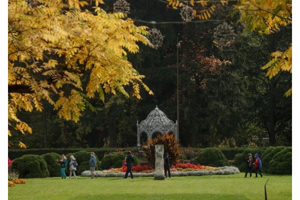 Осенние каникулы в ботаническом саду: детям предлагают посетить четыре увлекательные экскурсии
