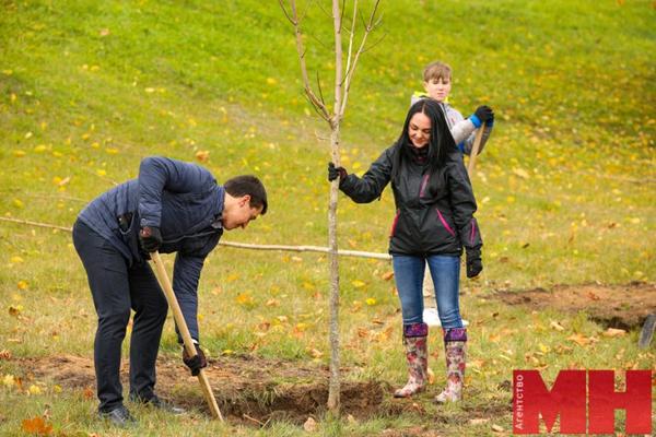 Более 22 тыс. кустарников и 3,8 тыс. деревьев высадят в Минске в дни весеннего марафона