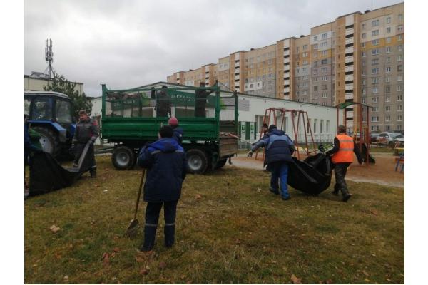 Во время субботника в Первомайском районе высадили более 300 кустарников и деревьев