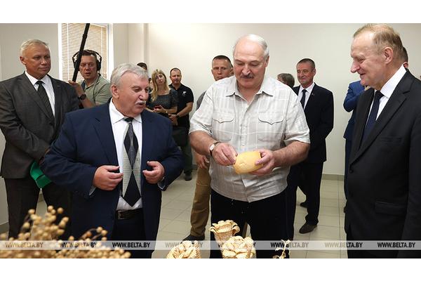 Обеспечит ли Беларусь свою продовольственную безопасность? Лукашенко потребовал включить 