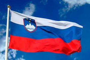 Деловой визит в Словению