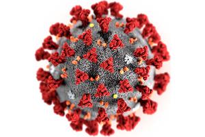 Что нужно знать о коронавирусе!