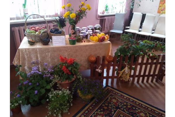 Минская городская выставка-конкурс  «Мой сад и огород. Ветеранские дожинки-2020!»