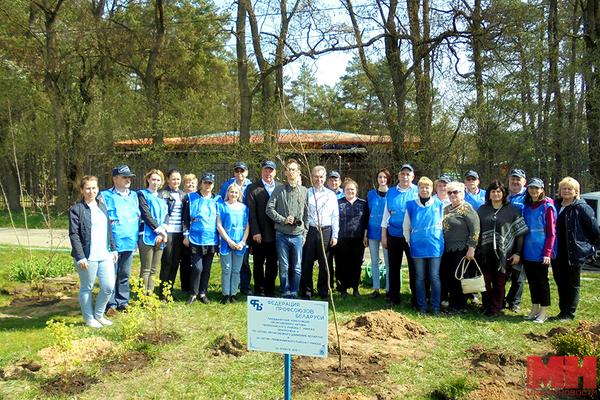 В ботаническом саду высадили композицию, посвященную 115-летию профсоюзного движения в Беларуси