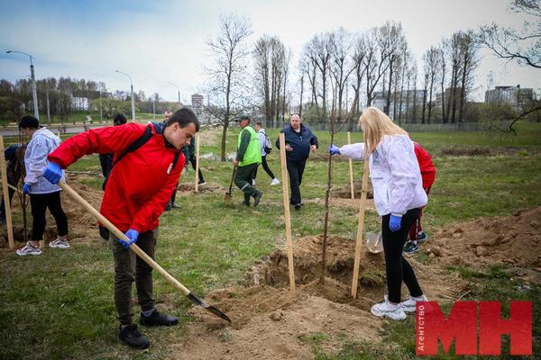 Озеленители Первомайского района высадили в этом году более 6 000 деревьев