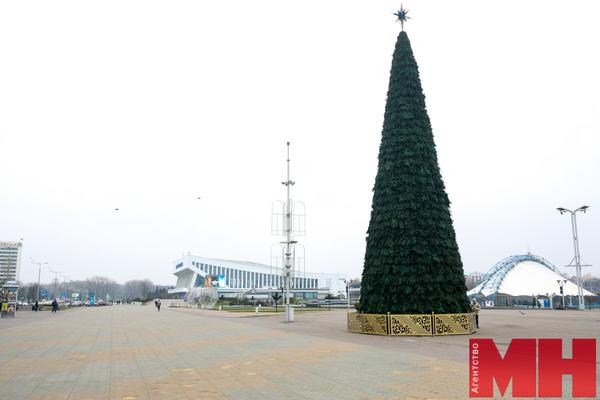 Фотофакт. На центральных площадках Минска устанавливают новогодние елки
