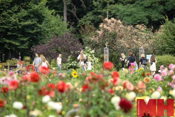 Фотофакт: десятки минчан приходят в ботанический сад насладиться цветами