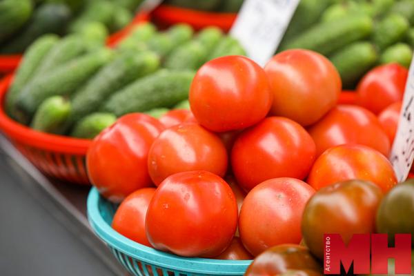 Общество На столичном парниково-тепличном комбинате планируют выращивать больше томатов