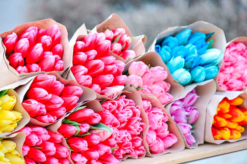 Как получить временное разрешение для торговли цветочной продукцией в преддверии празднования Международного женского дня 8 Марта?